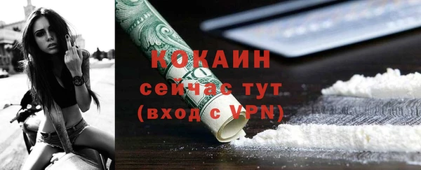 индика Арсеньев