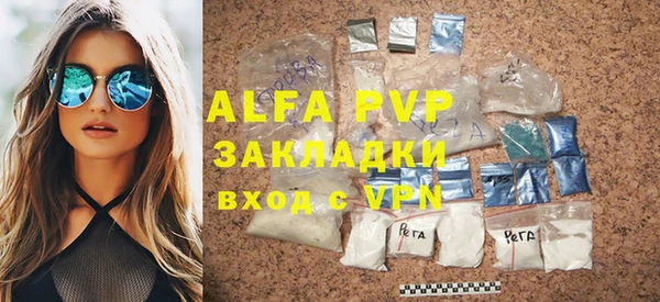 индика Арсеньев