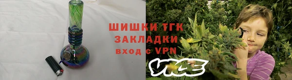 тгк Аркадак