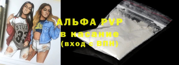 индика Арсеньев