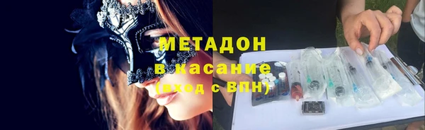 индика Арсеньев