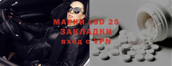 мяу мяу мука Баксан