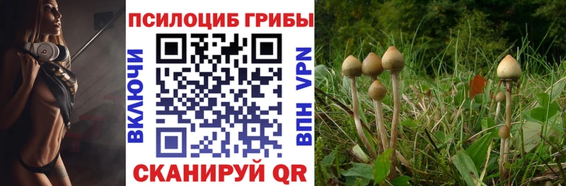 как найти закладки  Горнозаводск  Псилоцибиновые грибы Magic Shrooms 